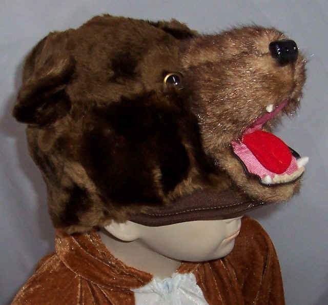 Brown Bear Costume - Child