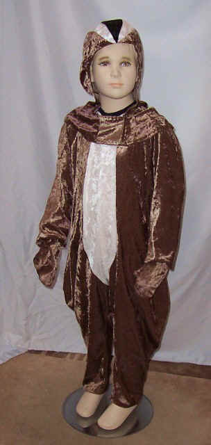 Chipmunk costume - Front view