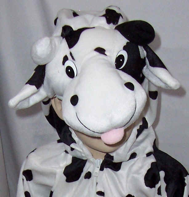 Cow Costume - Child