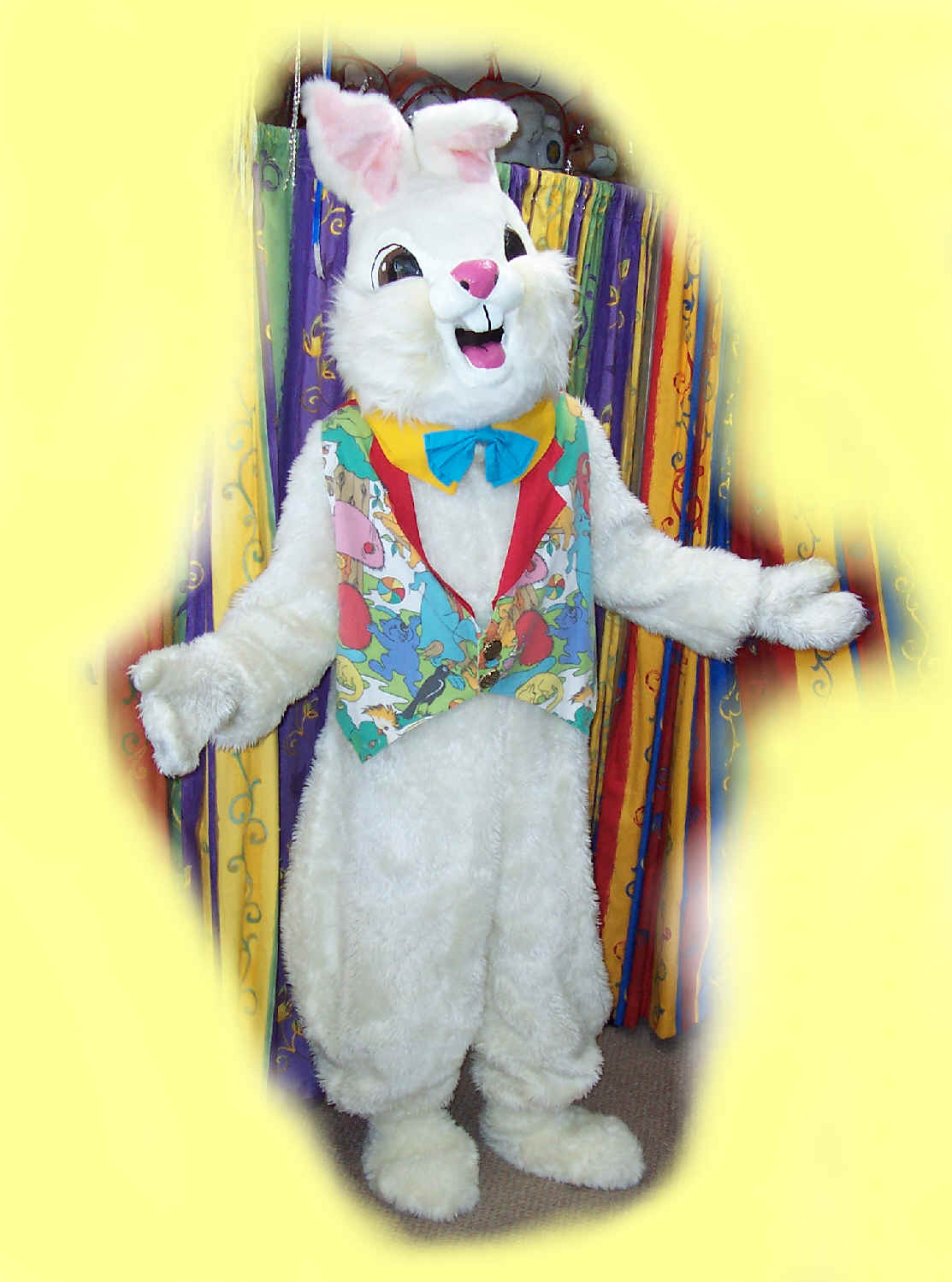 Easter Bunny costume